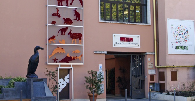 Museo Civico di Zoologia