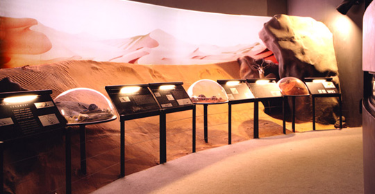 Museo Civico di Zoologia