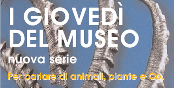 I giovedì del Museo