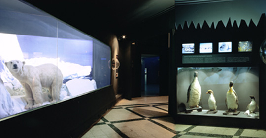 Museo Civico di Zoologia